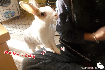 ねぇねぇってばぁ