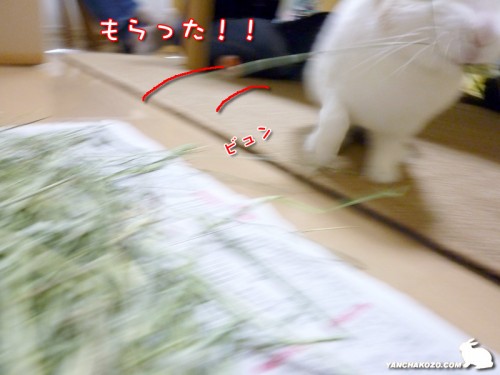 もらった！
