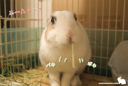 ふーん・・・