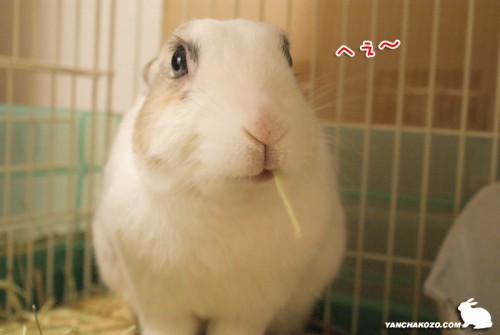 へぇ~