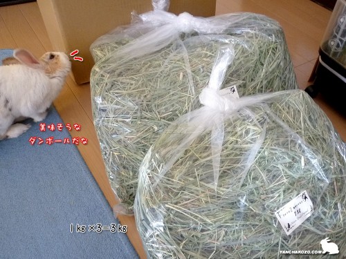 2番刈り