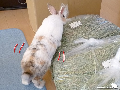まだまだ！！