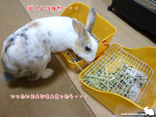 ぼくより・・・
