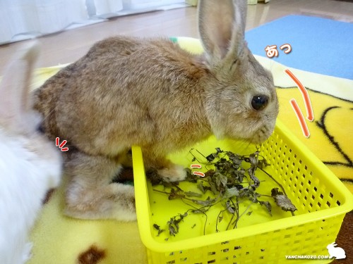 あっ！と前のめり