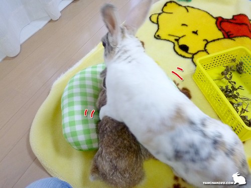 再チャレンジ！！