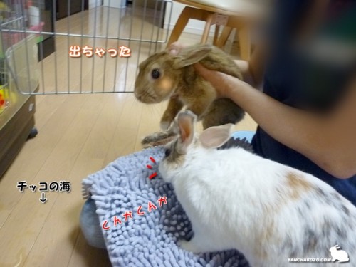 出ちゃった