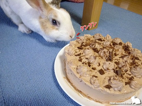 ぷりんとケーキ