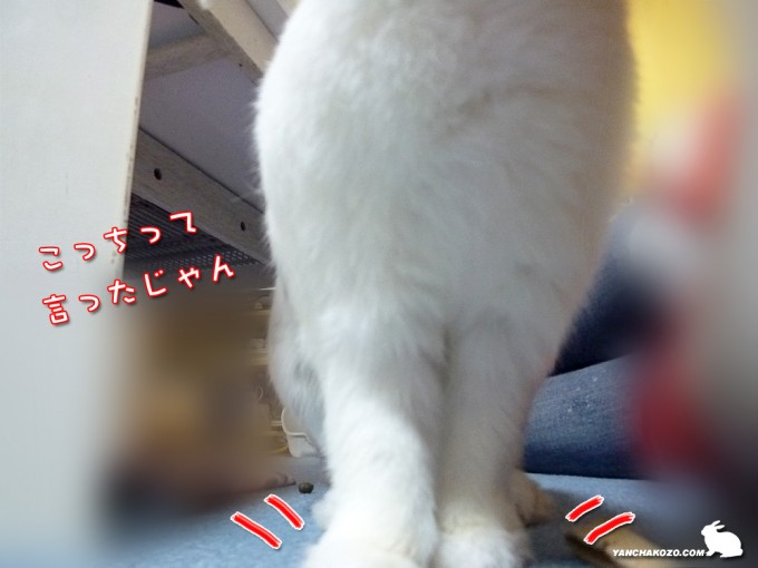 こっちって言ったじゃん