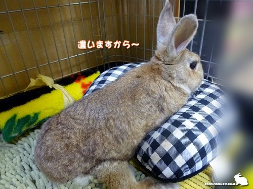 違いますから～