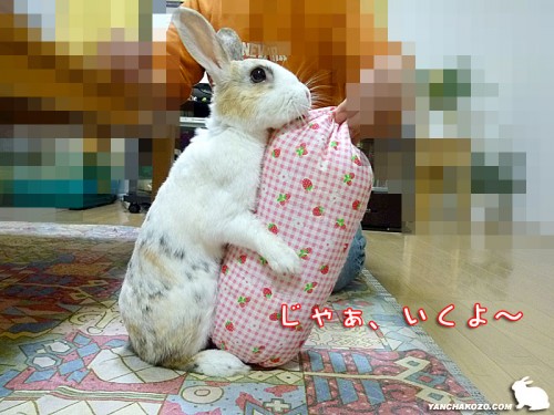 いくよ~!