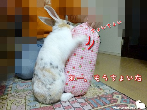 サンドバッグ?