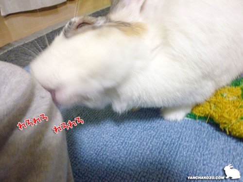 れろれろ