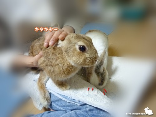 pckitakita