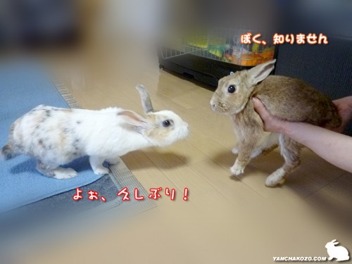 感動の再会