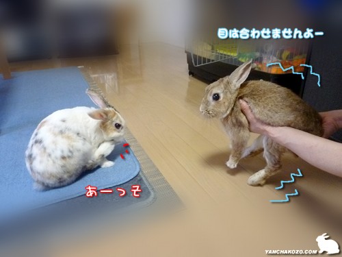 あーっそ