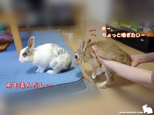 嗅ぎたい！