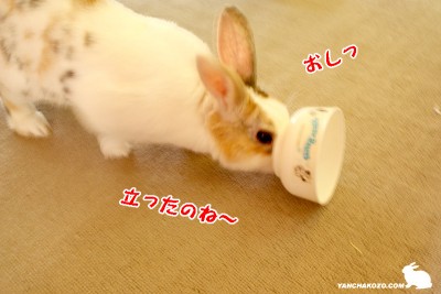 立ったのね~