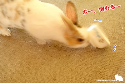 倒れそう