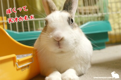 天才もぉ
