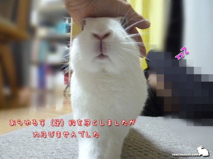 手は尽くしたが