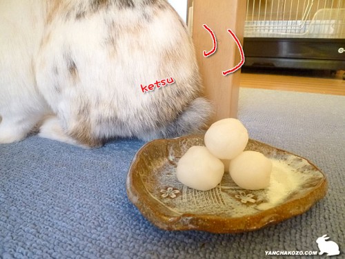 ケツを向ける