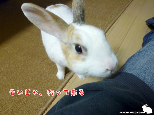 行って来る