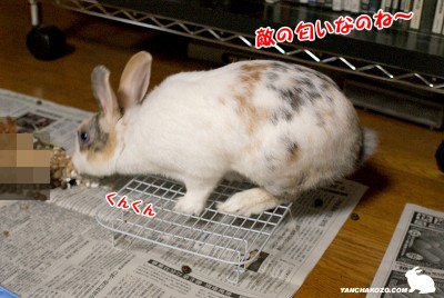くんくん敵の匂い