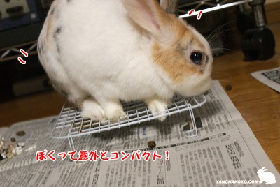 ぼくって意外と・・・