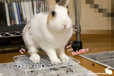 踏ん張る