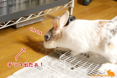 出た後の確認