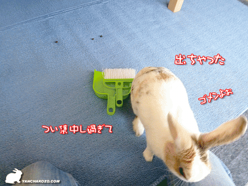 出ちゃってゴメン