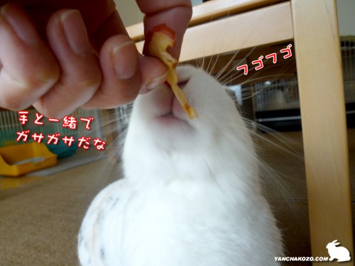 フガフガしてから