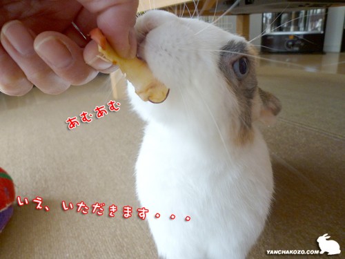 あむあむ～