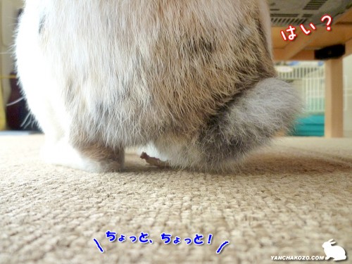 はい？