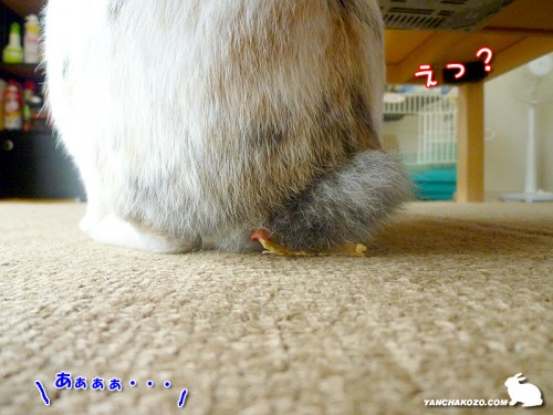 えっ？