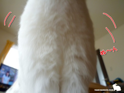 ぬ～ん