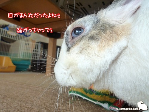 怖がってたよね