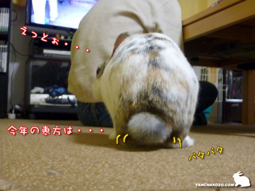 今年の恵方は・・・