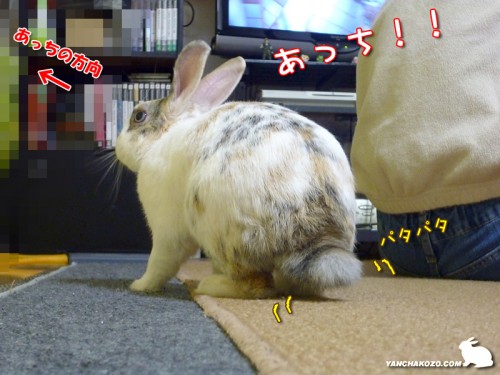 あっち!