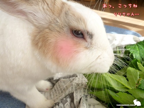 りりちゃん…