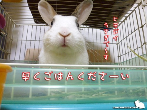 くださ～い