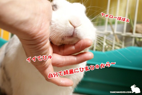 自分でひまひゅ