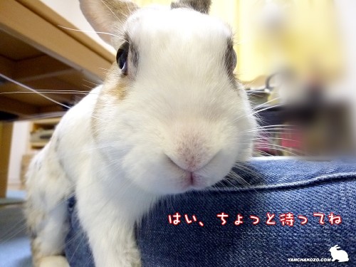 ちょっと待ってね