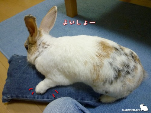 よいしょーと移動