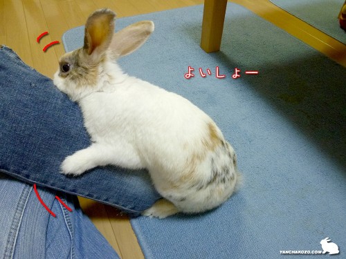 これで終わり「よいしょー」