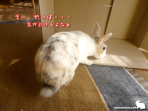 やっぱ・・・気が引ける