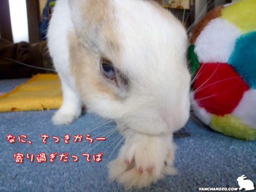 さっきからー