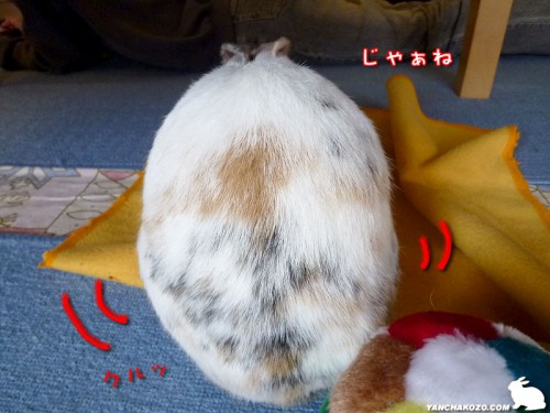 じゃぁね