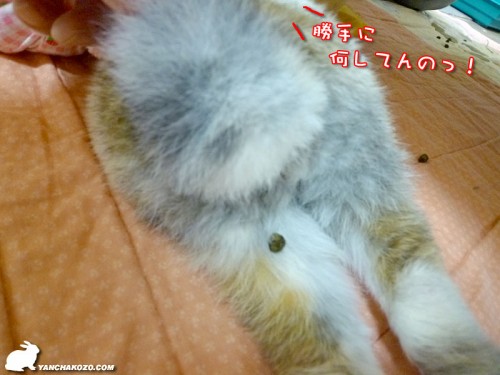 勝手に何している!