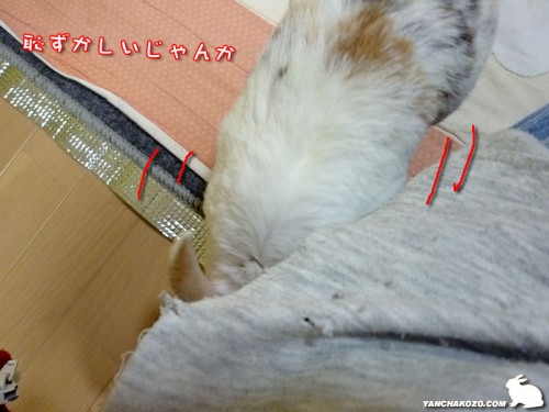 恥しいじゃんか